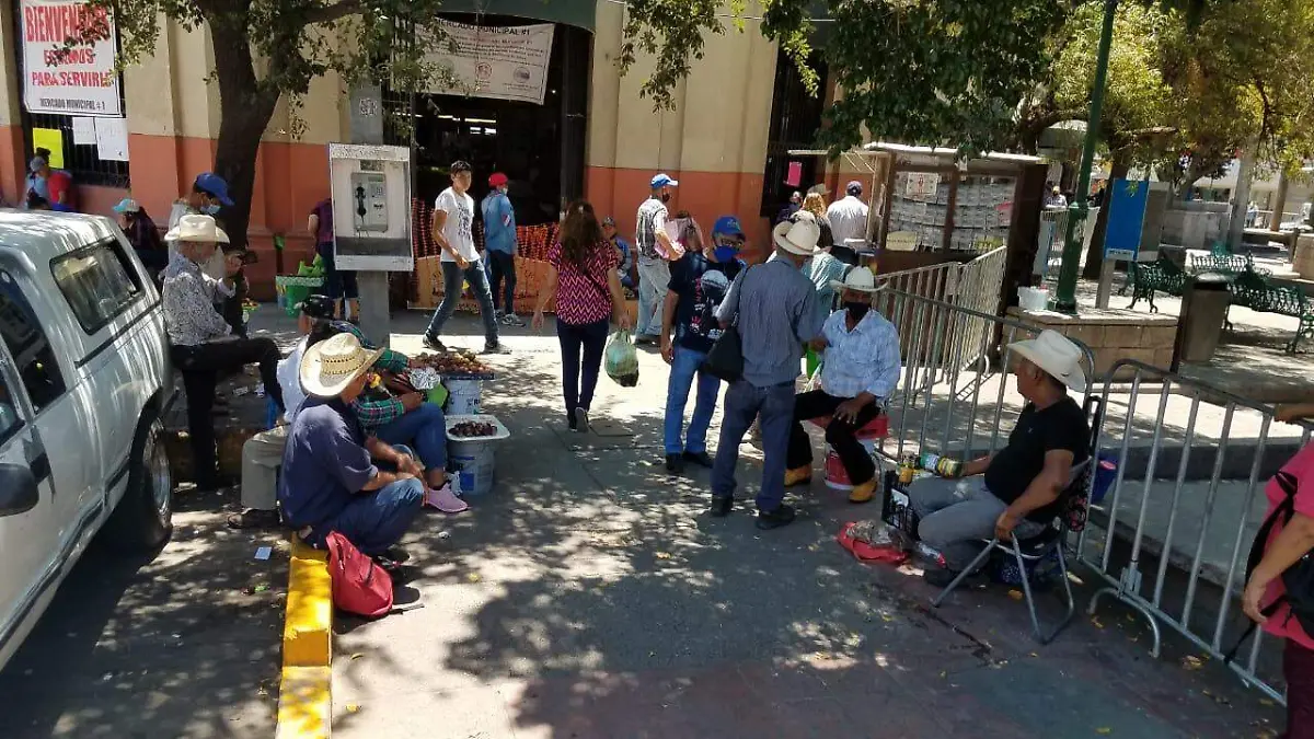 andador mercado municipal tercera edad (6)